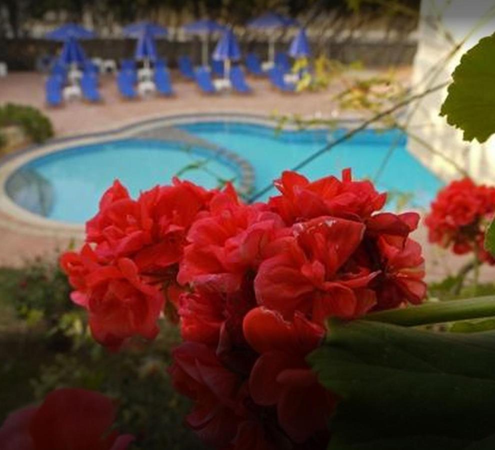 Lili Apartments,Oasis 2,5 Km From Hania Center Parigoria Kültér fotó